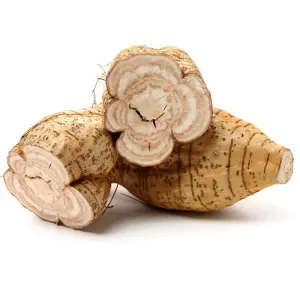 विदारीकंद